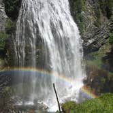 Review photo of Cougar Rock Campground — Mount Rainier National Park by Vilija J., July 30, 2017