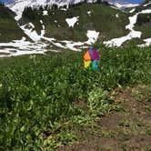 Review photo of Cougar Rock Campground — Mount Rainier National Park by Vilija J., July 30, 2017