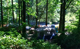 Aria R.'s photo of tent camping at Elk Creek Campground near Neotsu, OR