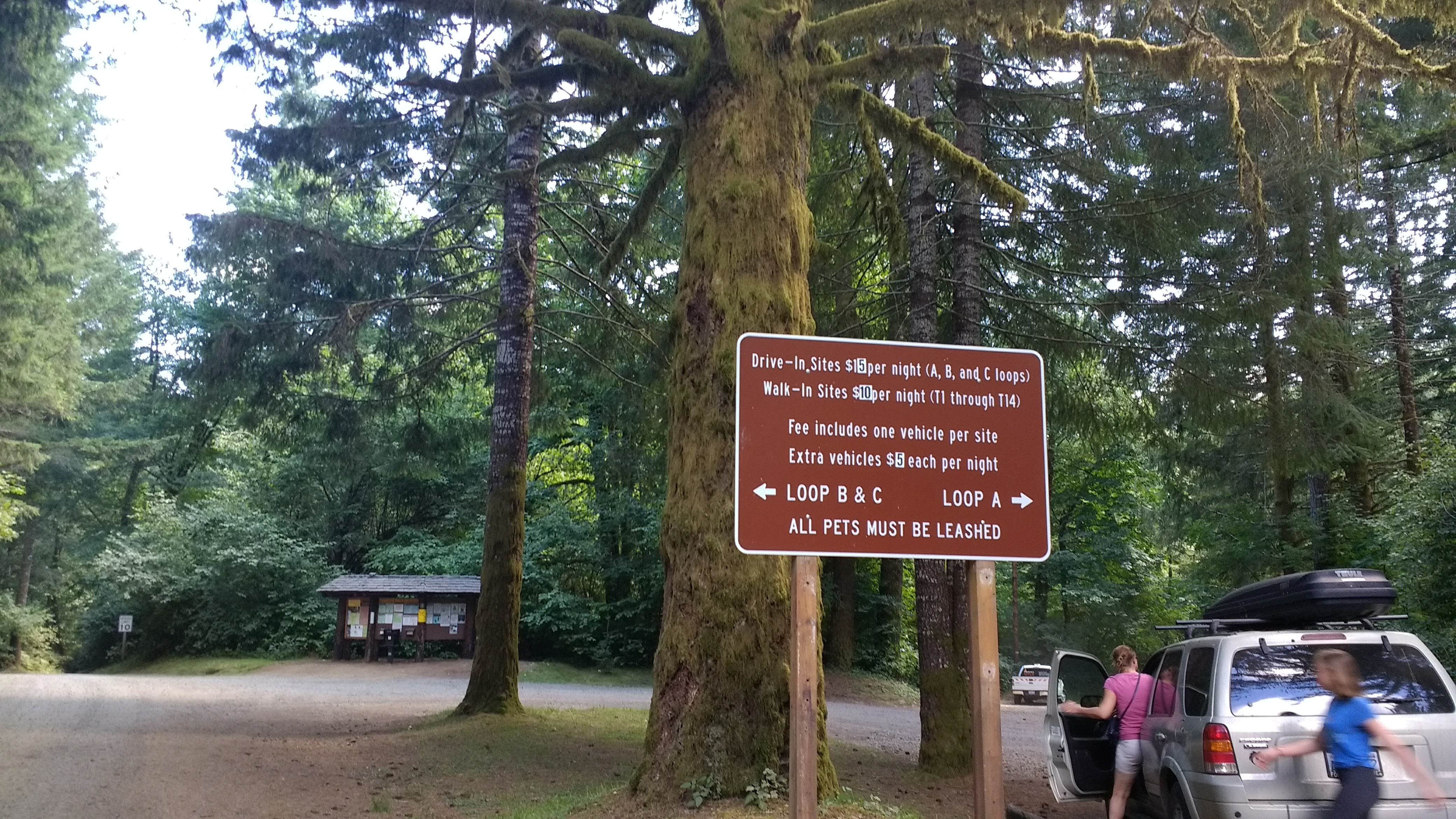 Camper submitted image from Jones Creek - 1