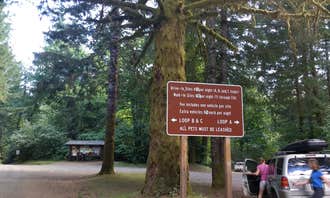 Camping near Tillamook State Forest Diamond Mill OHV Campground & Staging Area: Jones Creek, Tillamook, Oregon