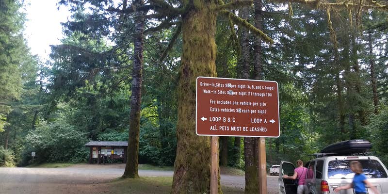 Camper submitted image from Jones Creek