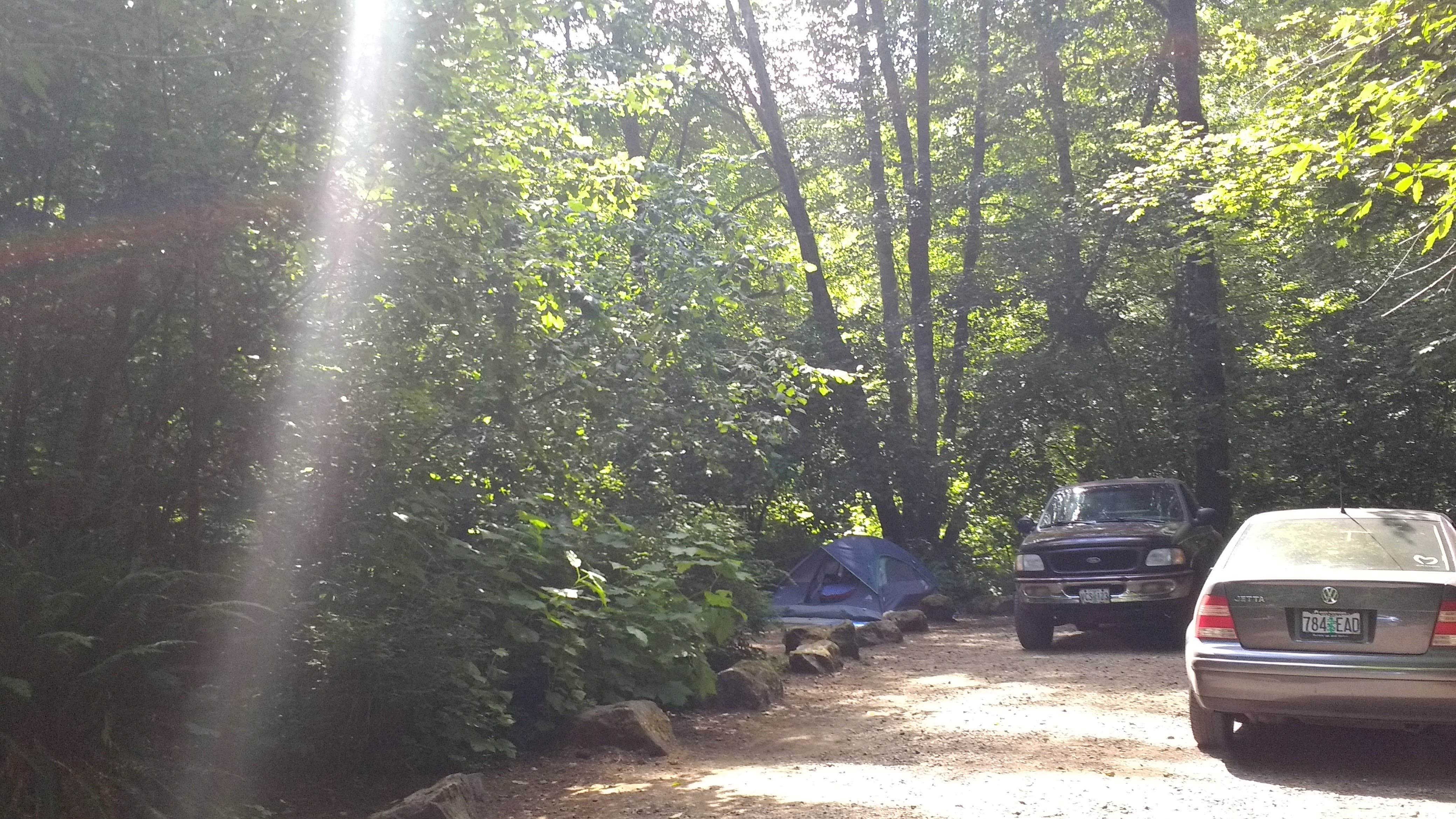 Camper-submitted photo at Jones Creek near Lafayette, OR