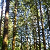 Review photo of Jones Creek by Aria R., July 30, 2017