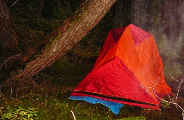 Aimee H.'s photo at Primrose Trailhead near Seward, AK