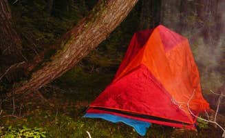 Aimee H.'s photo at Primrose Trailhead near Seward, AK