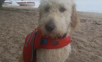 Beth W.'s photo of camping with pets at Hok-Si-La City Park & Campground near Spring Valley, WI