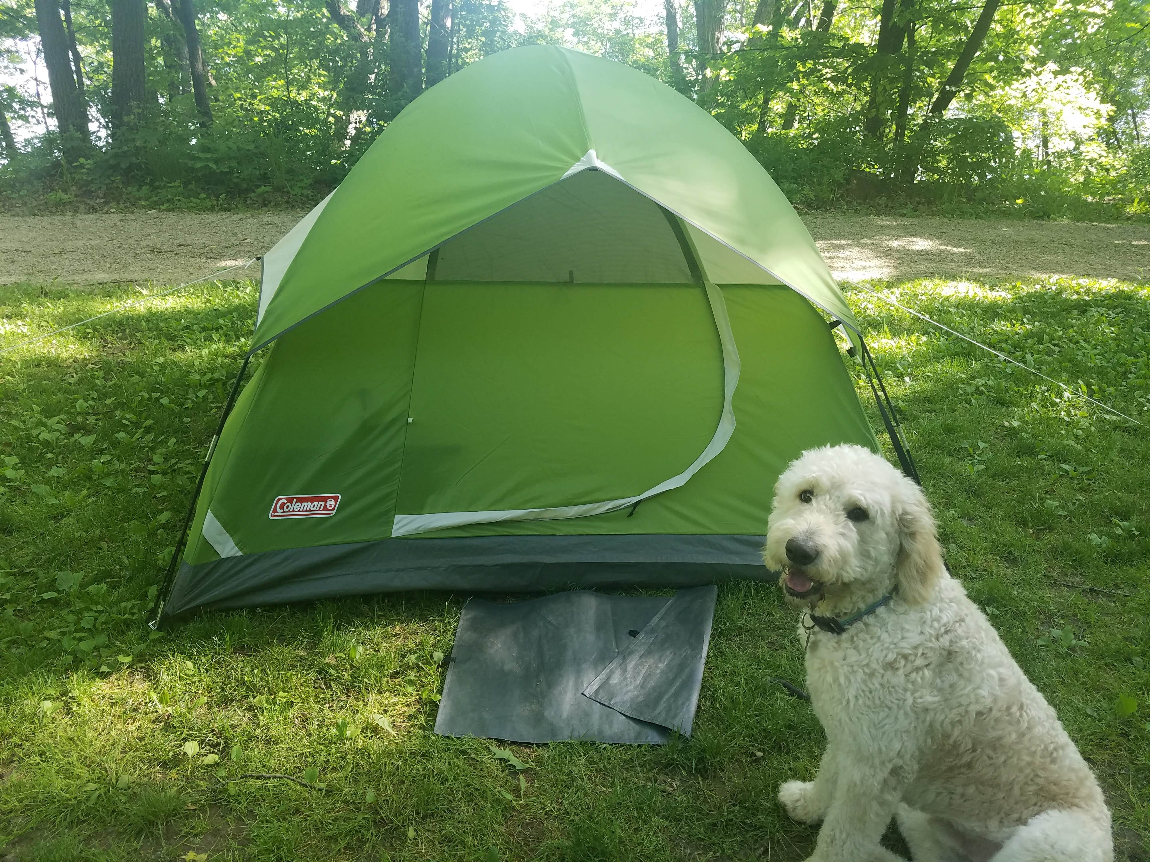 Beth W.'s photo of tent camping at Hok-Si-La City Park & Campground near Northfield, MN