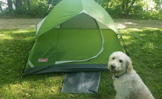 Beth W.'s photo of tent camping at Hok-Si-La City Park & Campground near Woodbury, MN