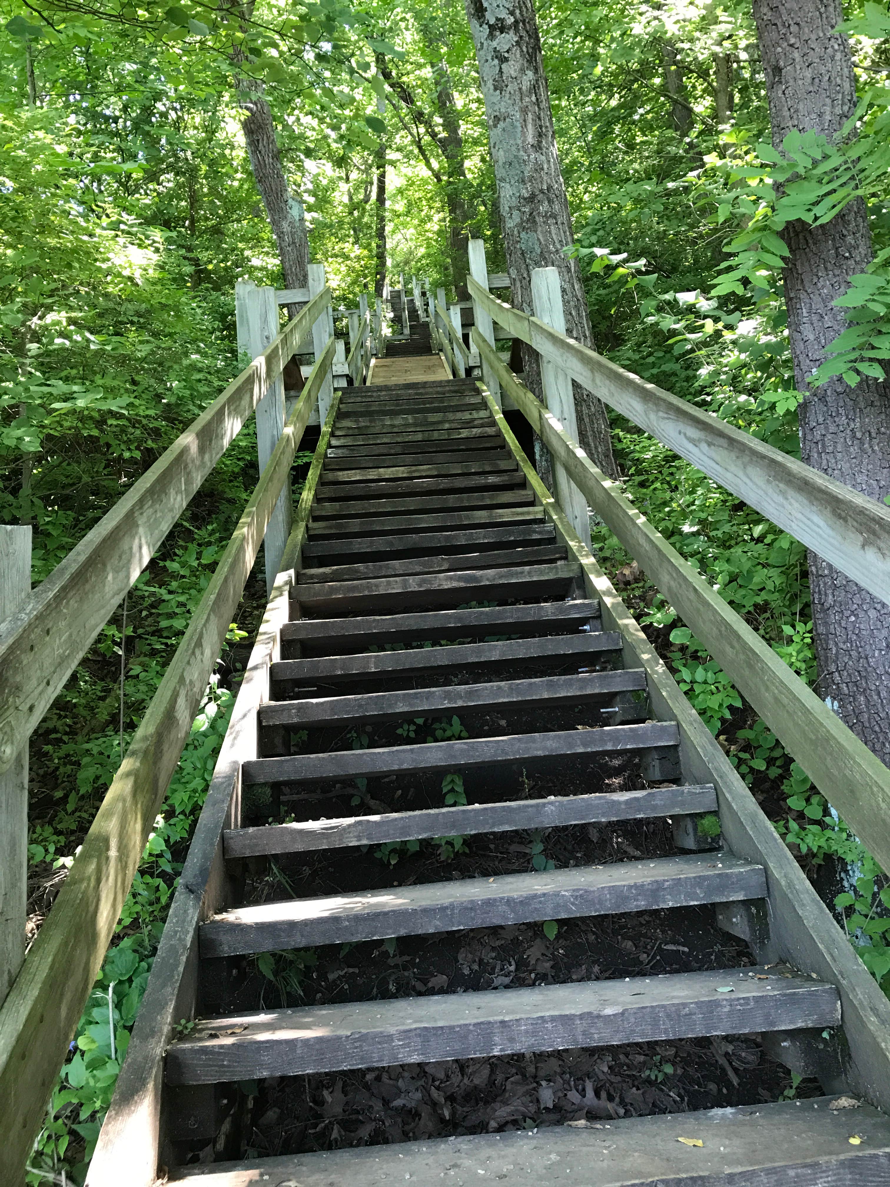 Camper submitted image from Lowden State Park Campground - 3