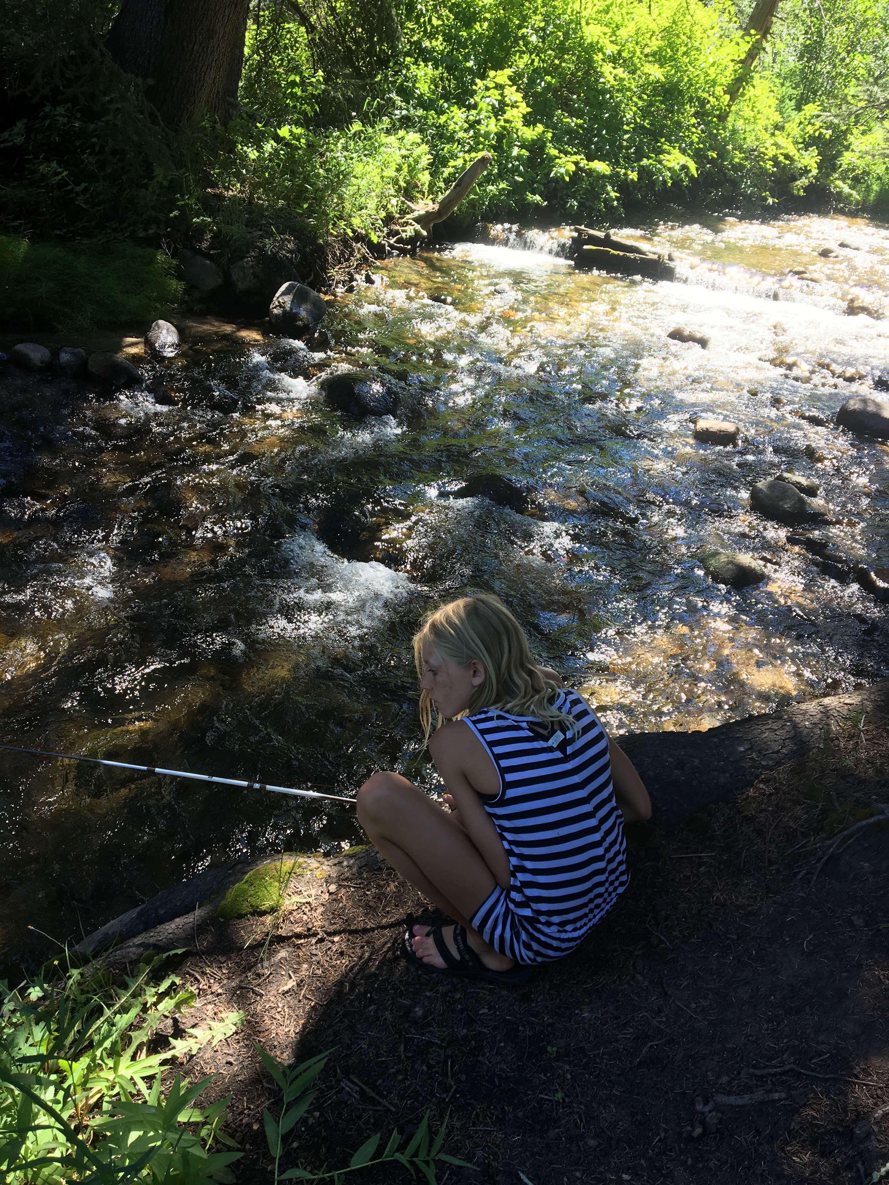 Camper submitted image from Spruces Campground (Dixie NF) - 4