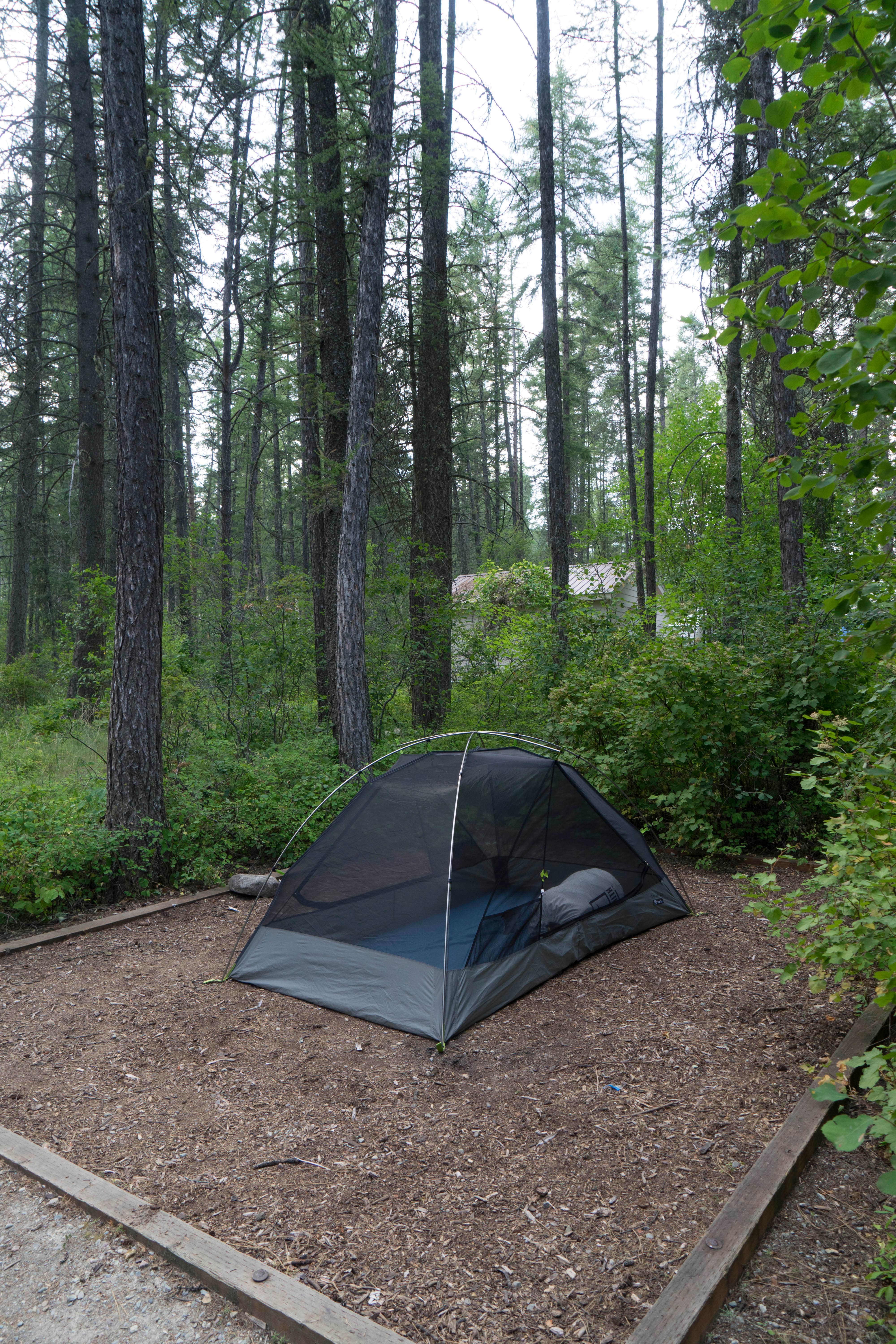 Camper submitted image from West Shore Unit — Flathead Lake State Park - 5