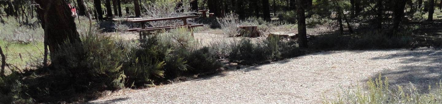 Camper submitted image from Manti-LaSal National Forest Nizhoni Campground - 3