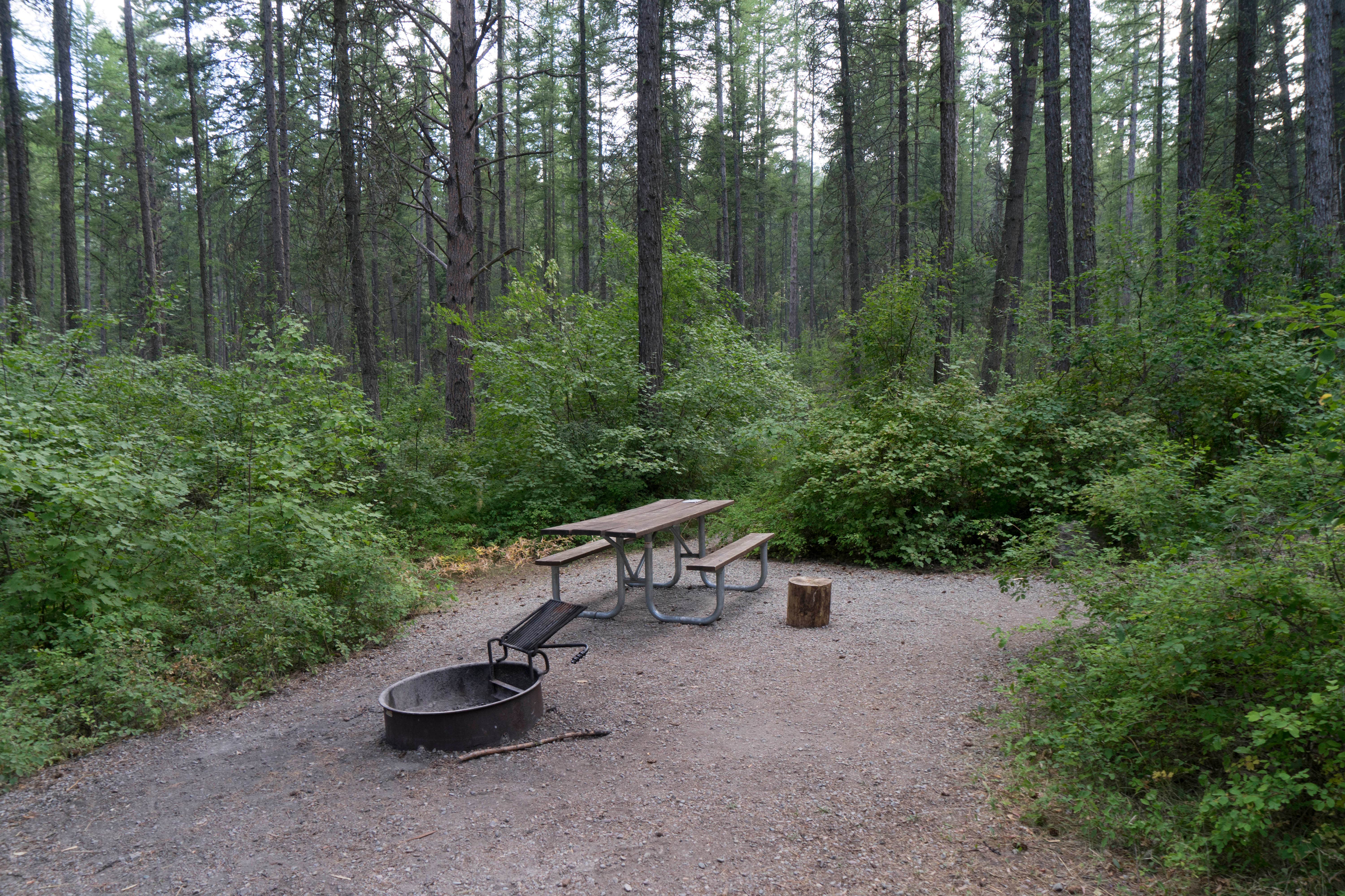Camper submitted image from West Shore Unit — Flathead Lake State Park - 5