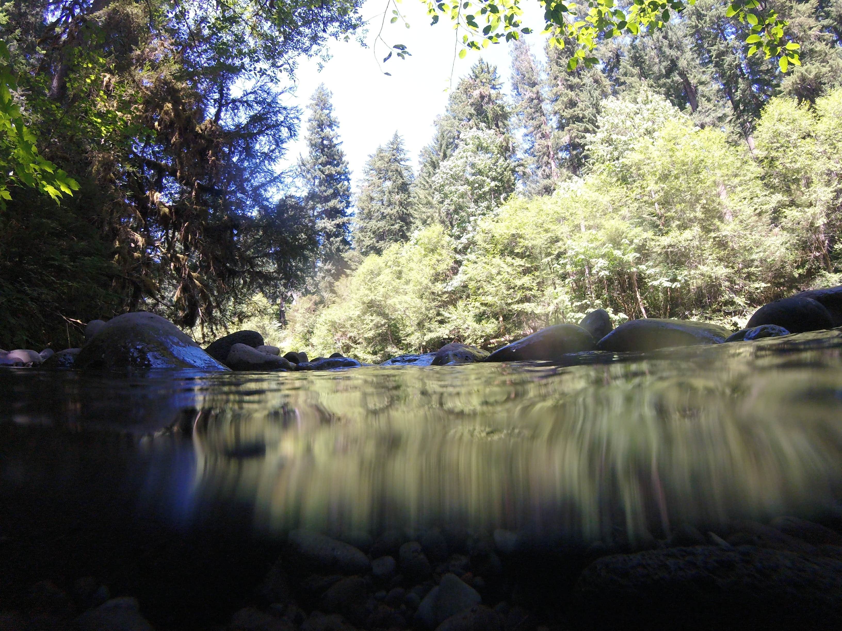 Camper submitted image from Kiahanie Campground - 2