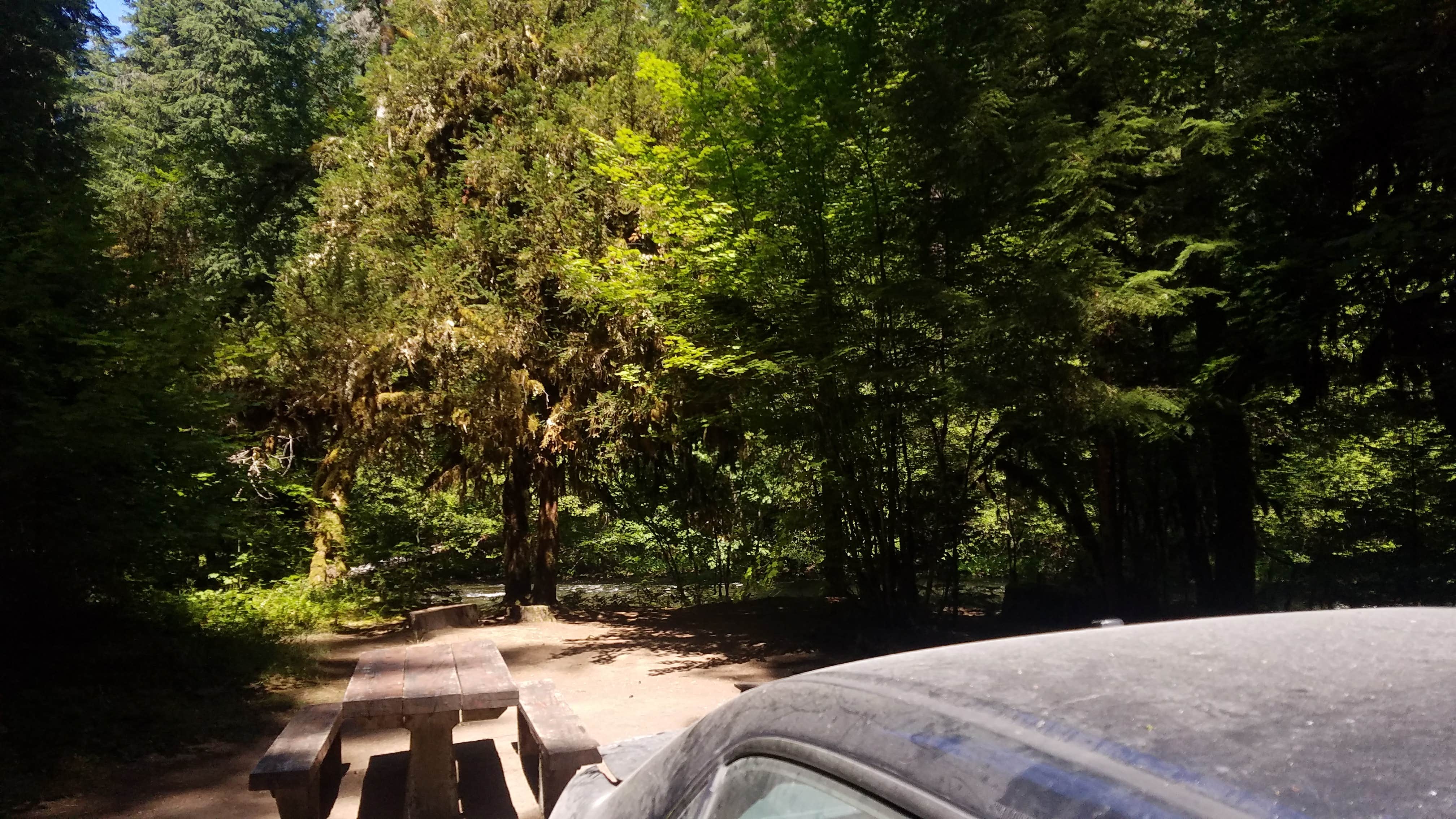 Camper submitted image from Kiahanie Campground - 3