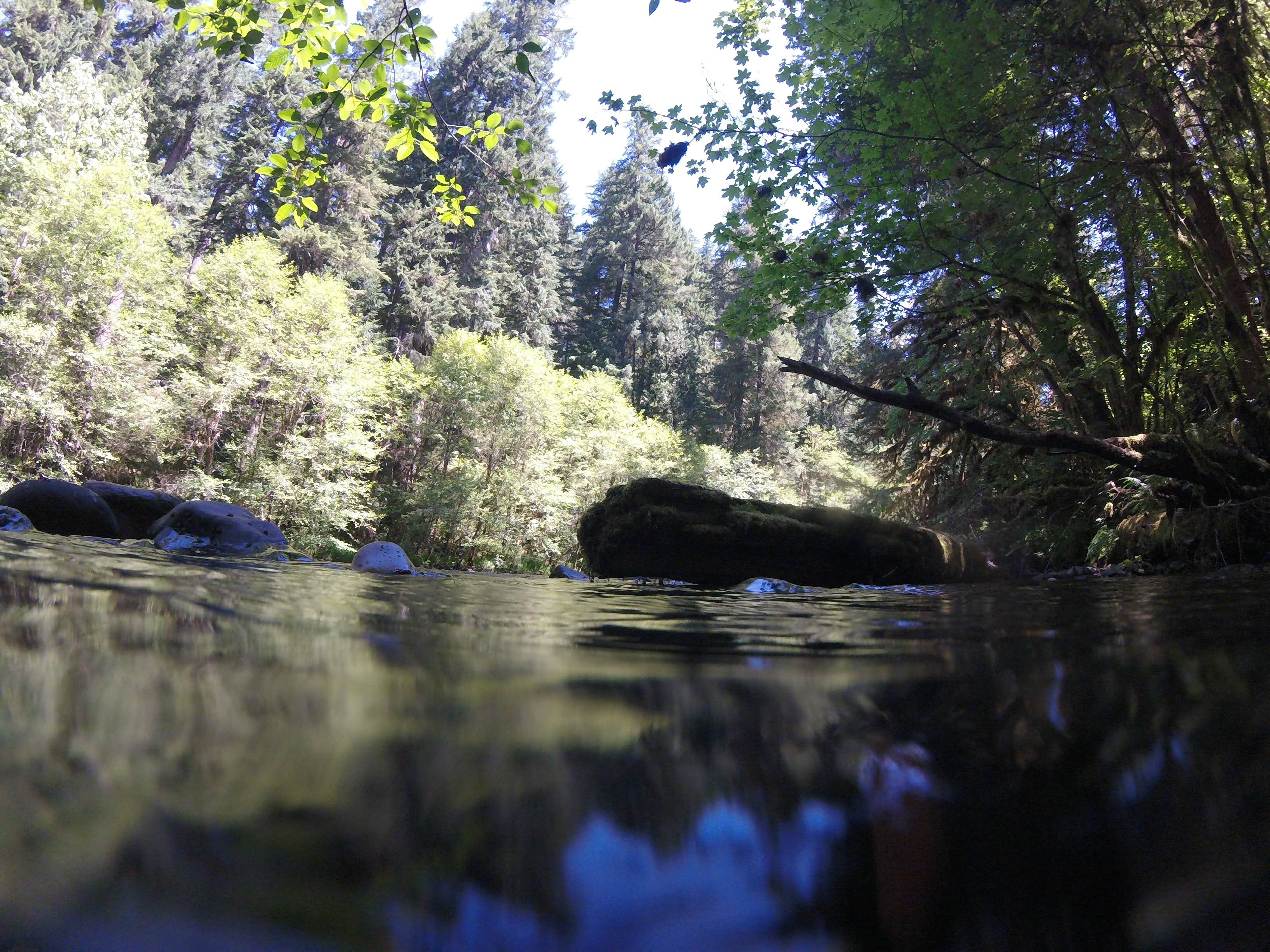 Kiahanie Campground: Your Oregon Coastal Escape