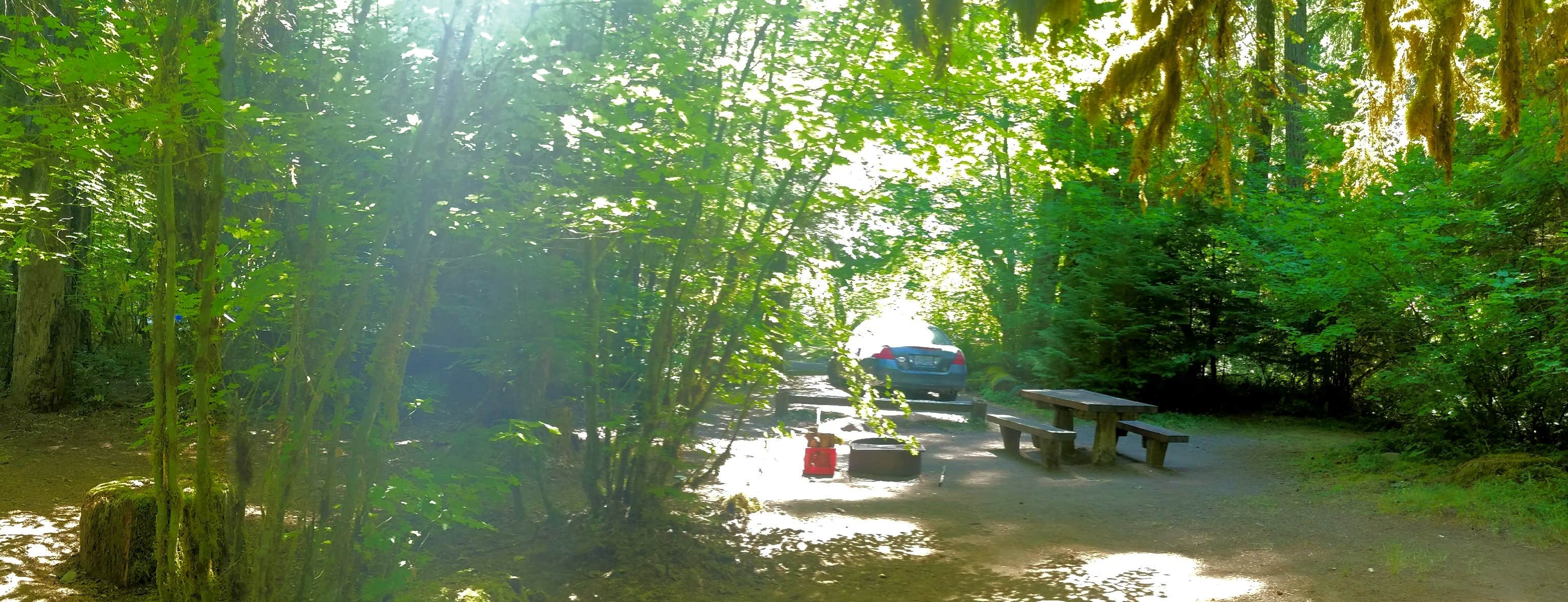 Camper-submitted photo at Kiahanie Campground near Oakridge, OR
