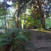 Review photo of Kiahanie Campground by Tj B., July 30, 2017