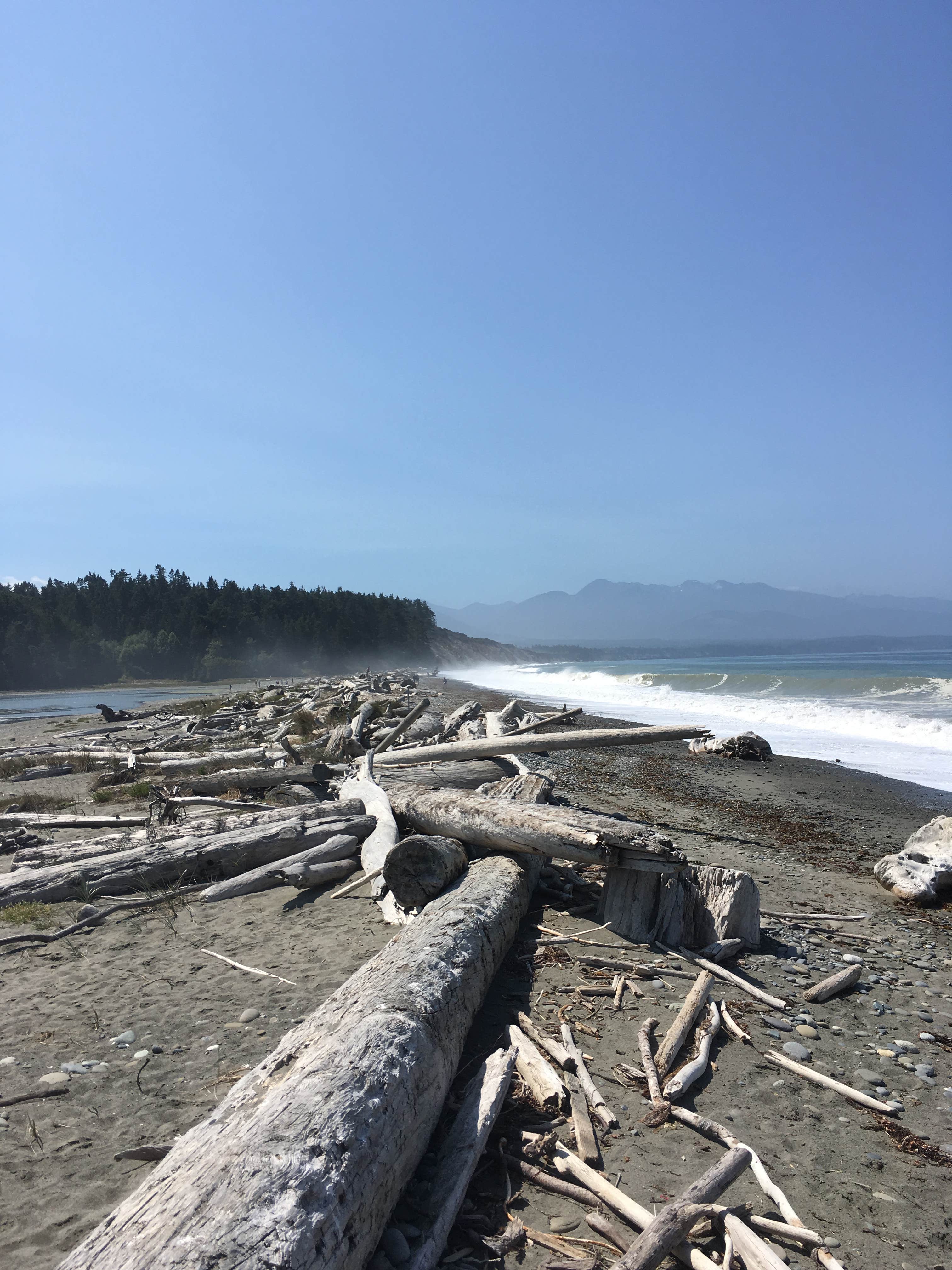 Camper-submitted photo at Dungeness Forks Campground near Sequim, WA