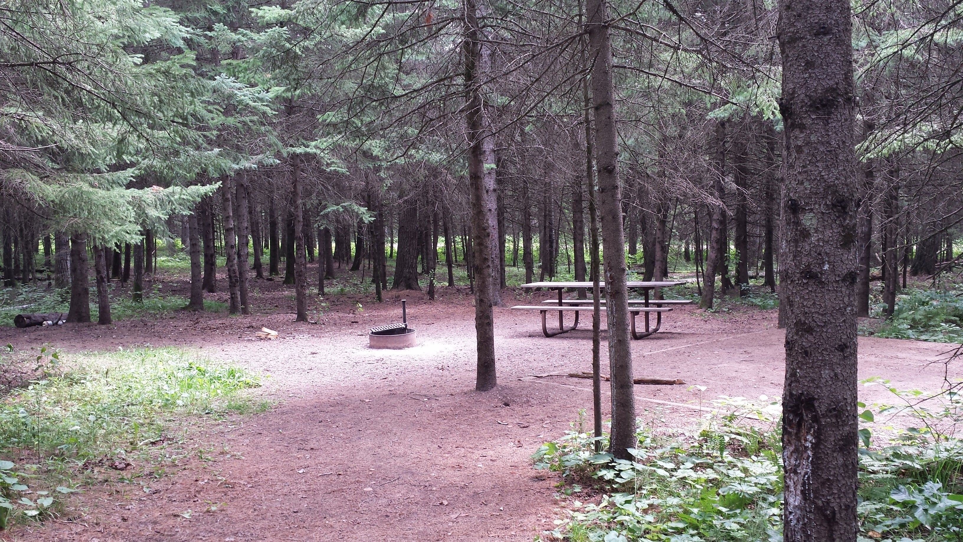 Camper submitted image from Jay Cooke State Park Campground - 2