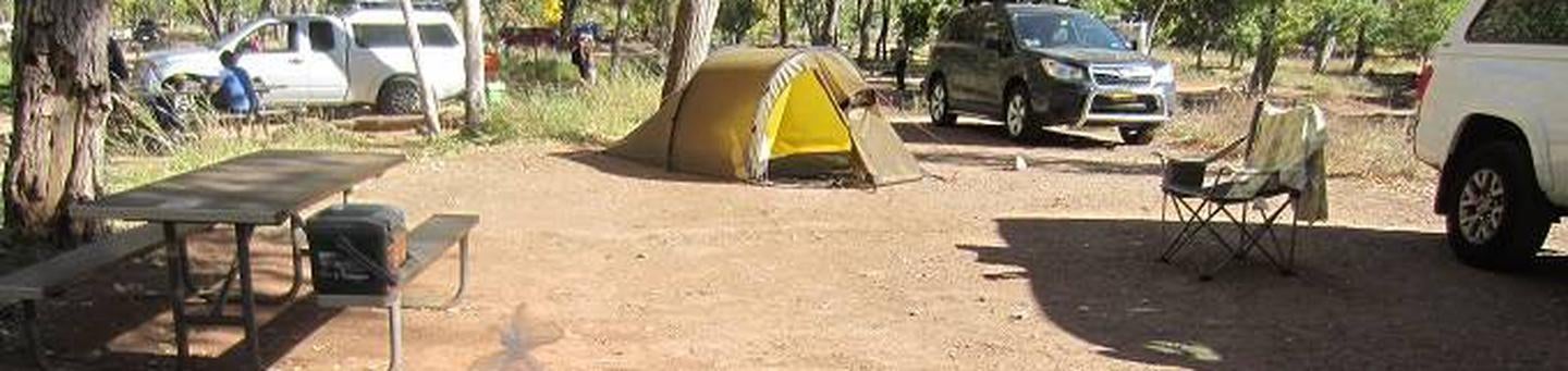 Camper submitted image from South Campground — Zion National Park - 5