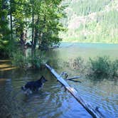 Review photo of Kachess Campground by Nathania N., July 30, 2017