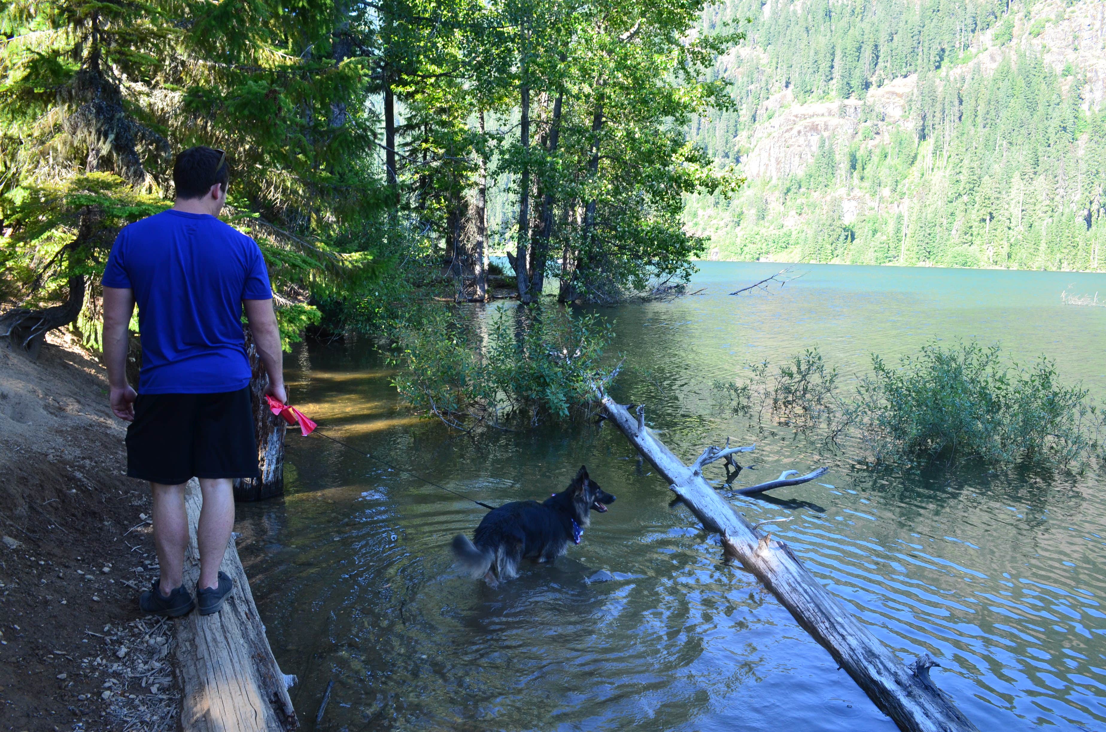 Camper submitted image from Kachess Campground - 4