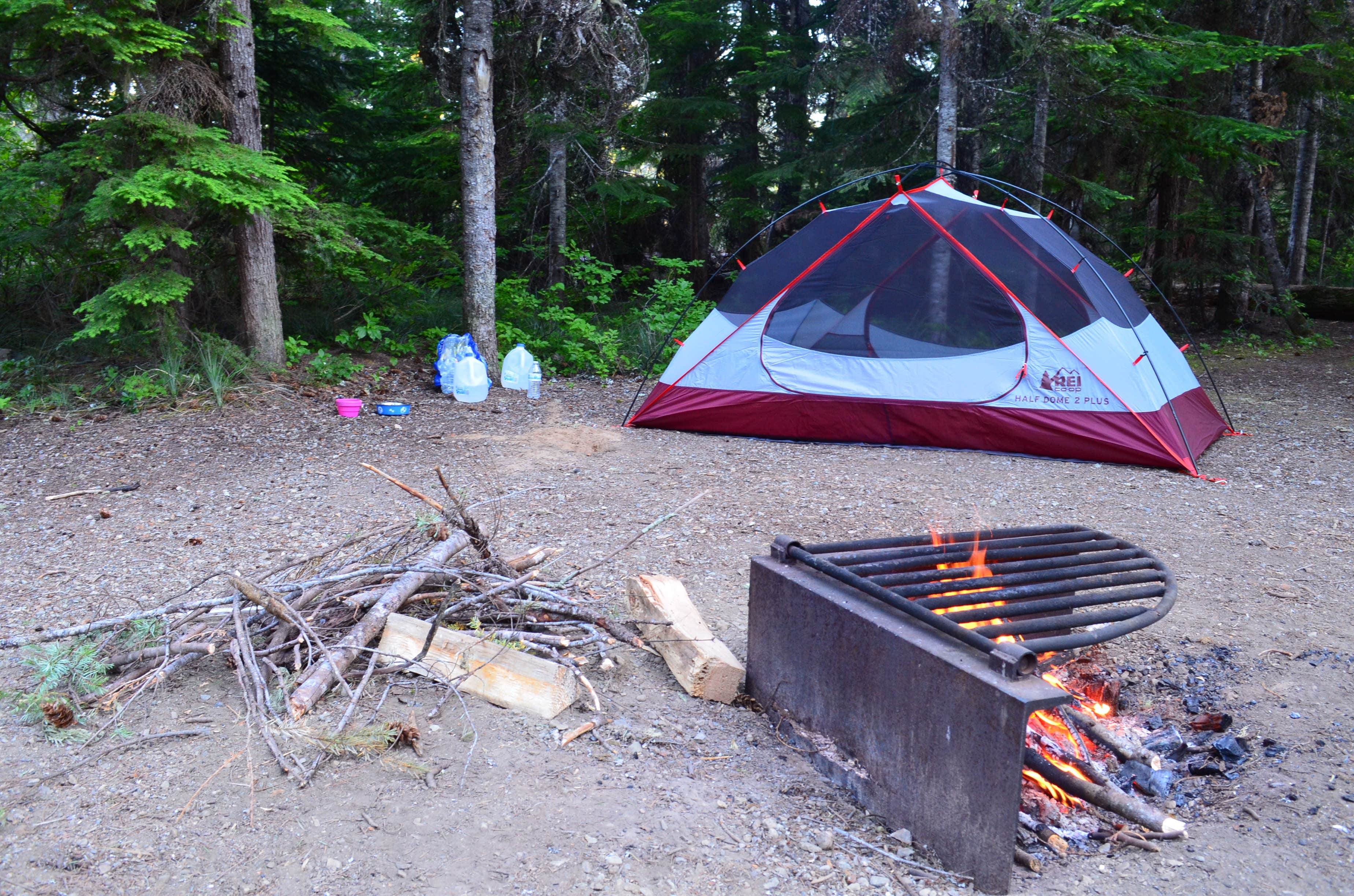 Nathania N.'s photo at Kachess Campground near Snoqualmie Pass, WA