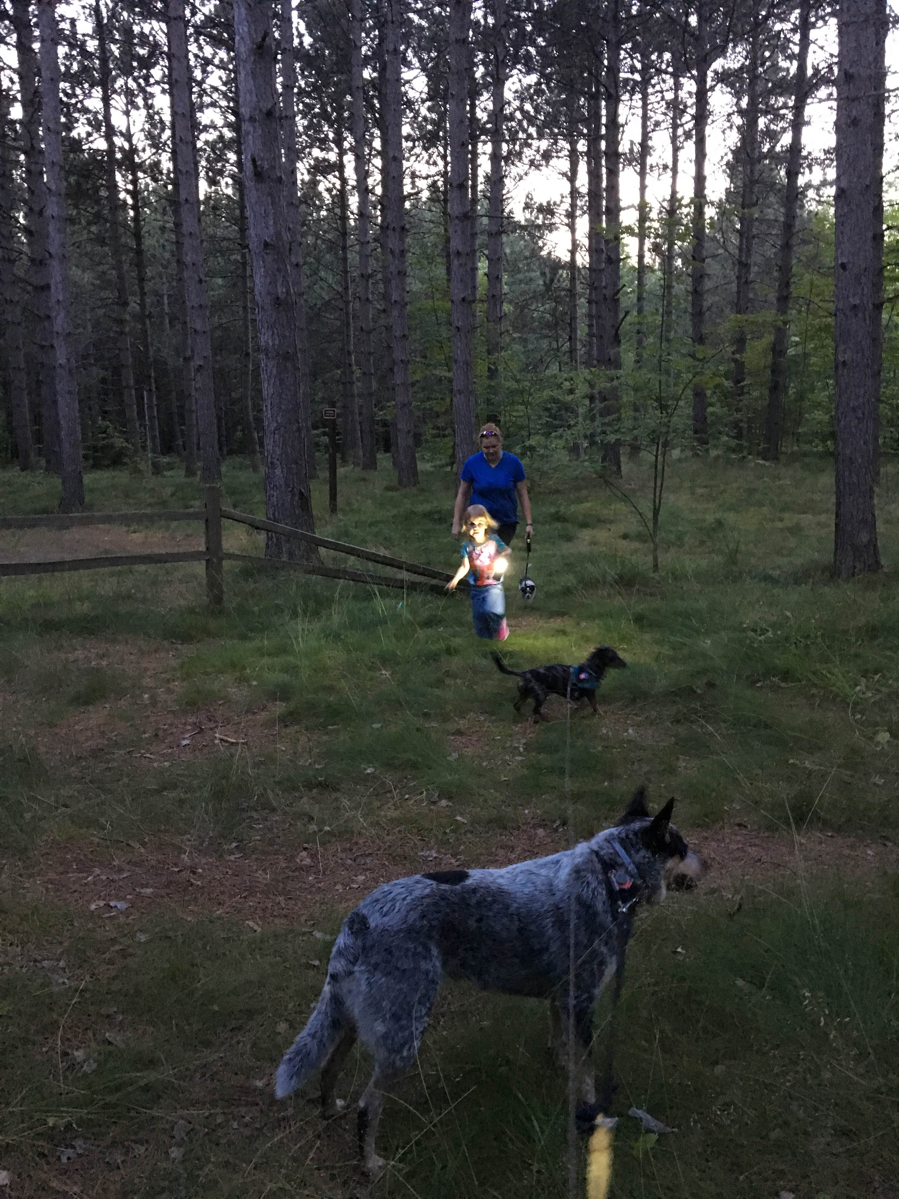 Shelly S.'s photo of camping with pets at Bay Furnace Campground near Skandia, MI