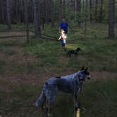 Review photo of Bay Furnace Campground by Shelly S., July 30, 2017