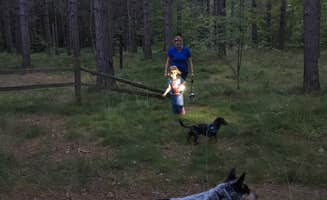 Shelly S.'s photo of camping with pets at Bay Furnace Campground near Pictured Rocks National Lakeshore
