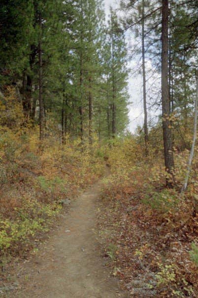 Camper-submitted photo at Klipchuck Campground near Stehekin, WA