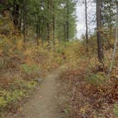 Review photo of Klipchuck Campground by Sarah C., July 30, 2017