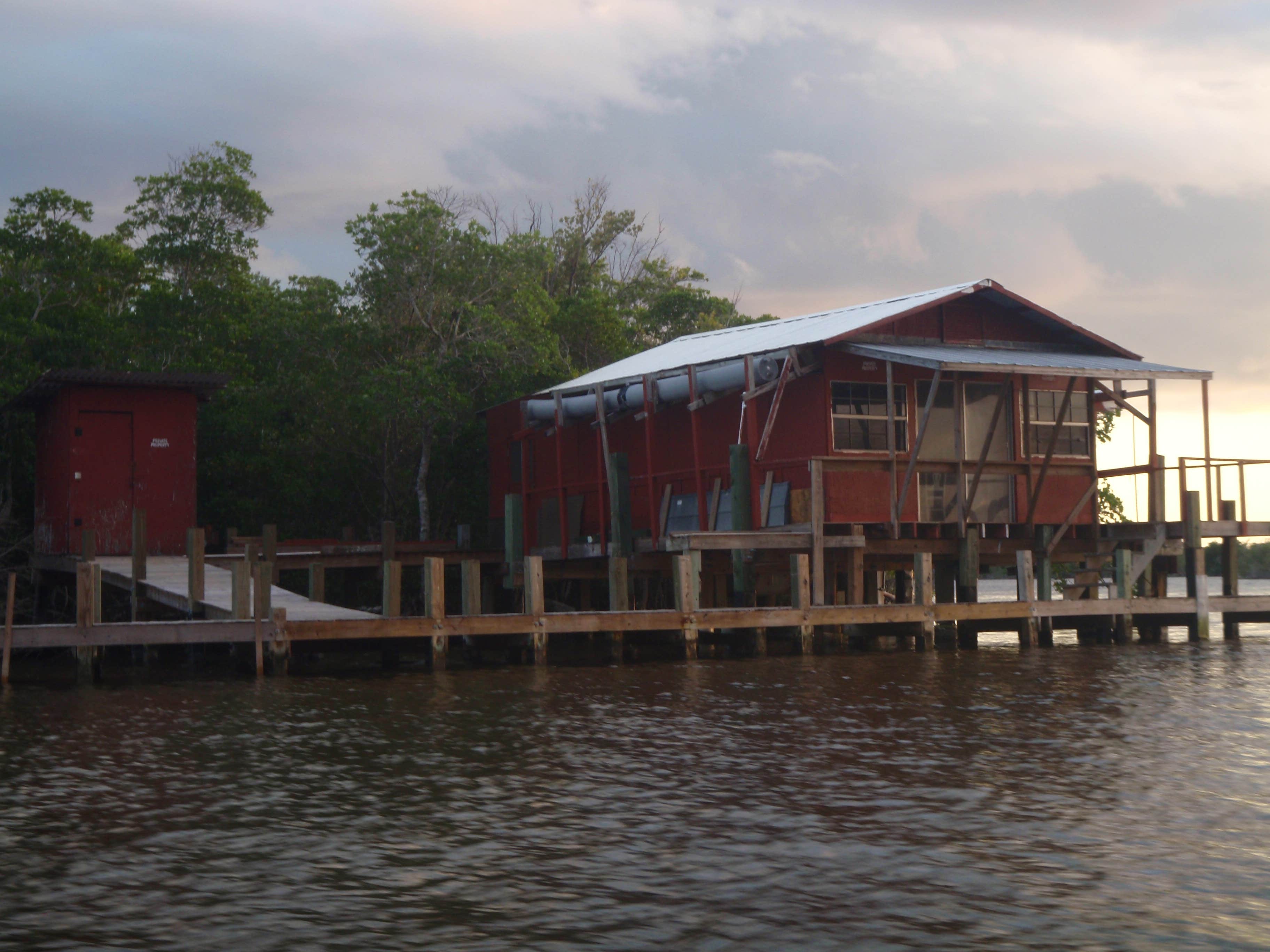 Camper submitted image from Backcountry Sweetwater Bay Chickee — Everglades National Park - 5