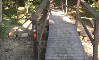 Shelly S.'s photo of camping with pets at Pennyrile Forest State Resort Park near Dunmor, KY