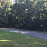 Review photo of Pennyrile Forest State Resort Park by Shelly S., July 31, 2017