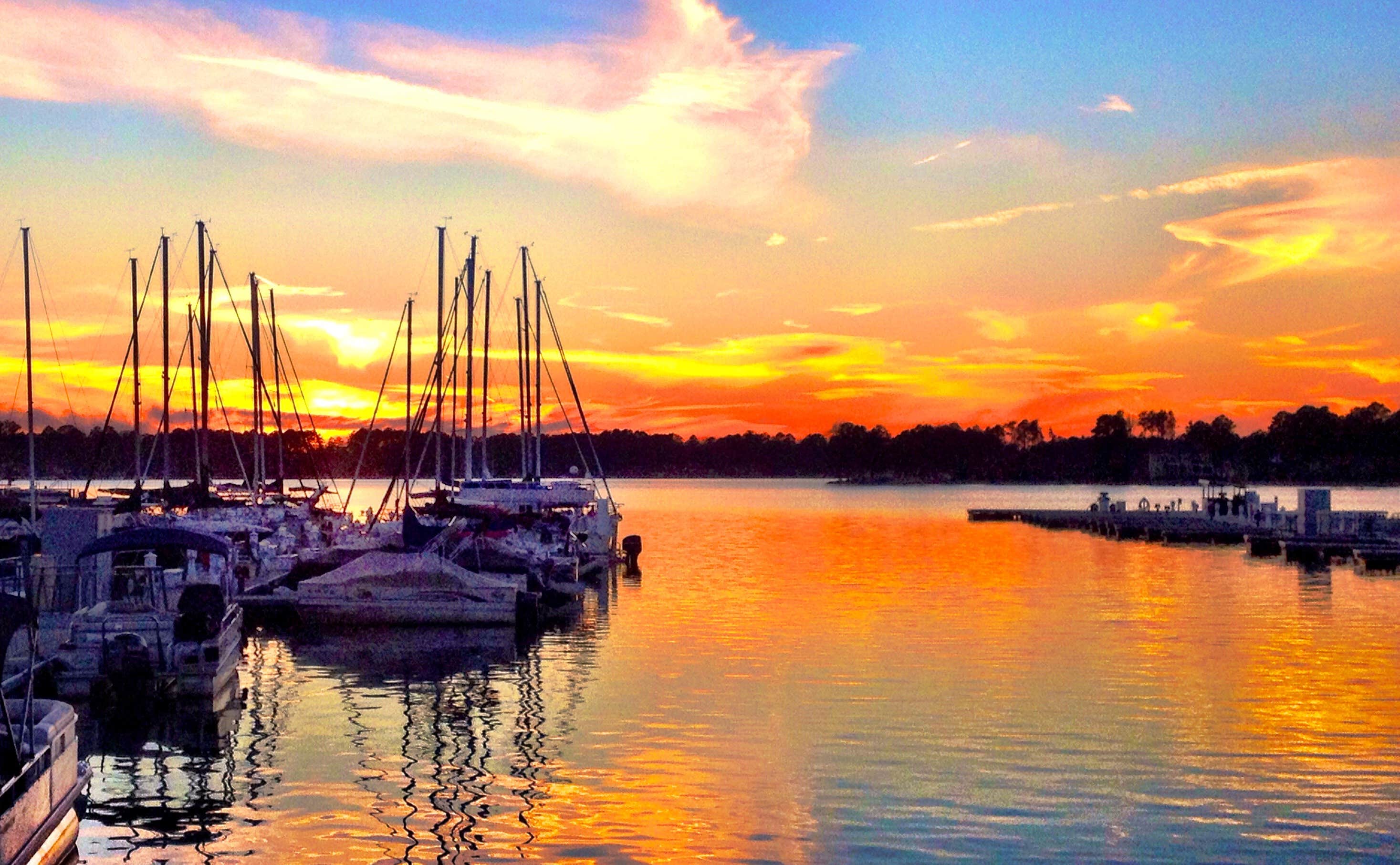 Camper submitted image from Dreher Island State Park Campground - 3