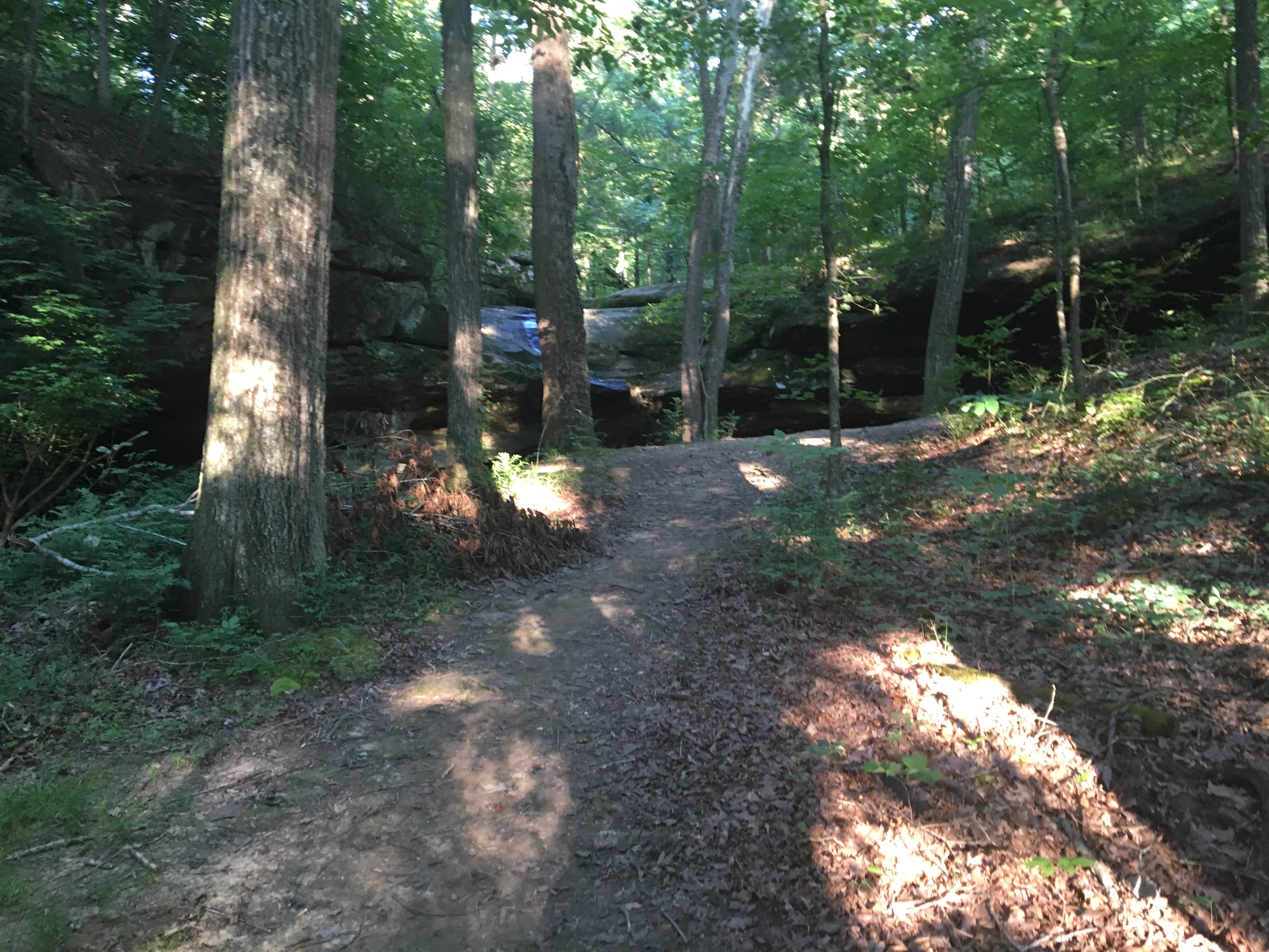 Camper submitted image from Pennyrile Forest State Resort Park - 2