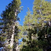Review photo of Badger Flats Group by David M., July 31, 2017