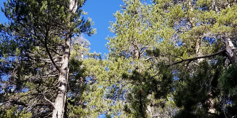 Camper submitted image from Badger Flats Group