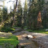 Review photo of Badger Flats Group by David M., July 31, 2017
