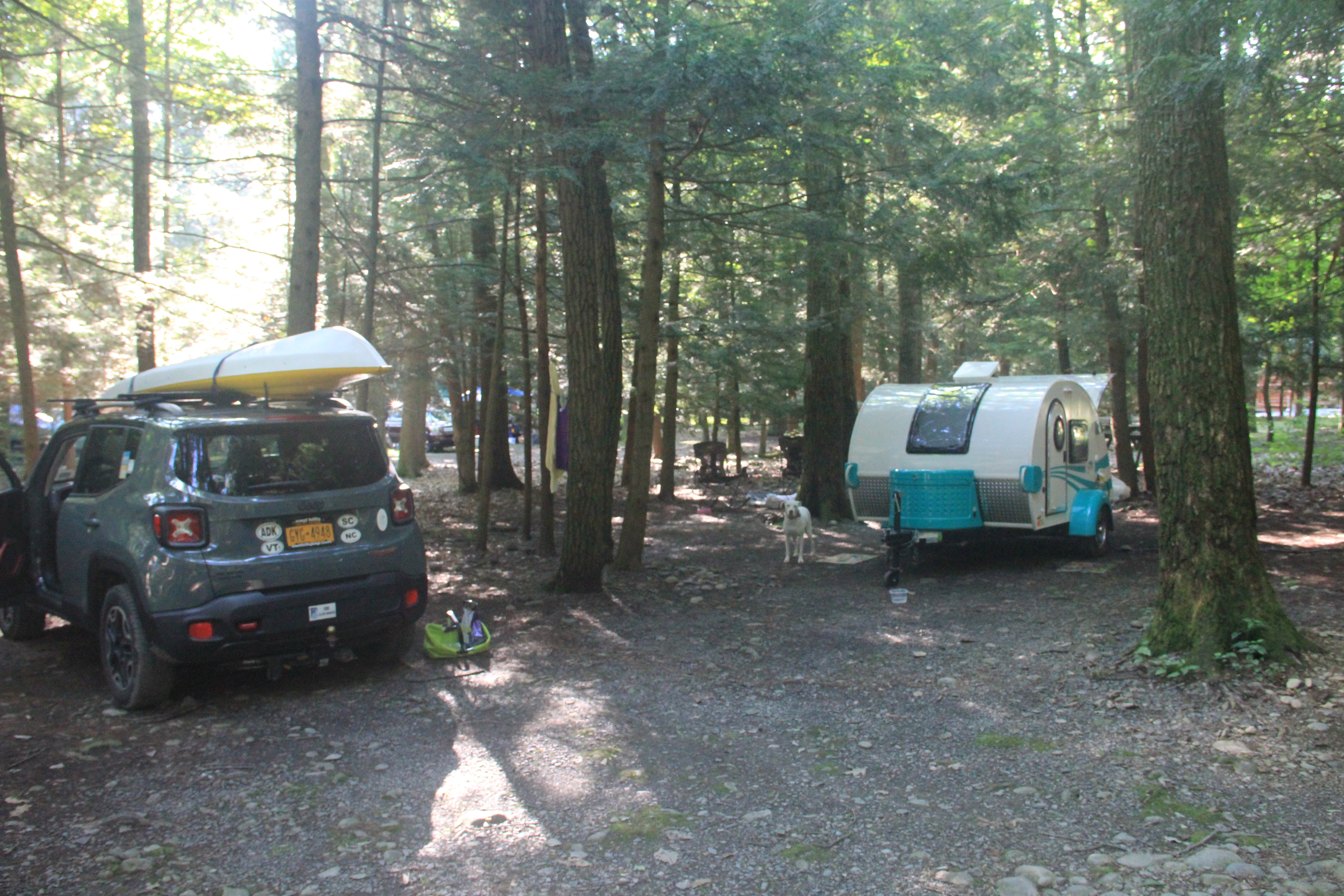 Camper submitted image from Dingmans Campground — Delaware Water Gap National Recreation Area - 2