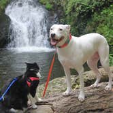 Review photo of Dingmans Campground — Delaware Water Gap National Recreation Area by Pawsfuradventure T., July 31, 2017