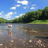 Review photo of Dingmans Campground — Delaware Water Gap National Recreation Area by Pawsfuradventure T., July 31, 2017