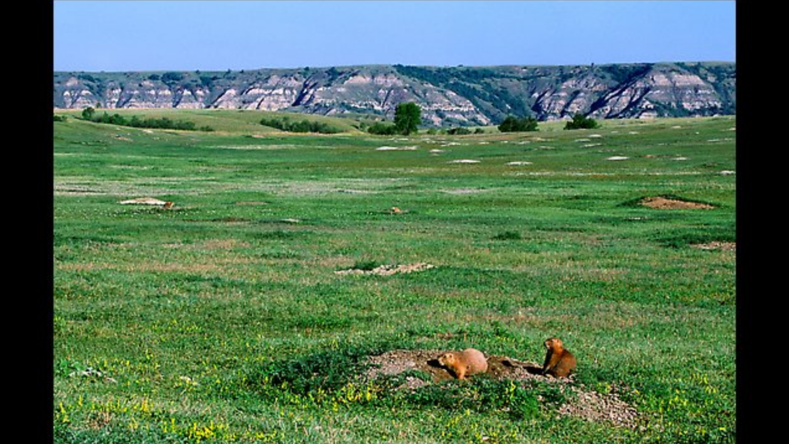 Camper-submitted photo at Juniper Campground — Theodore Roosevelt National Park in North Dakota