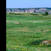 Review photo of Juniper Campground — Theodore Roosevelt National Park by Tonya T., June 28, 2016