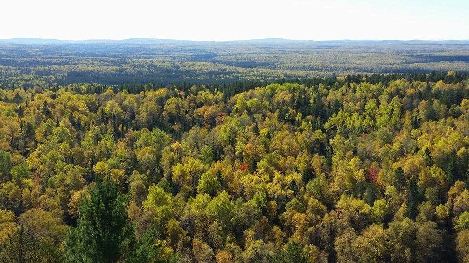 Camper-submitted photo at Two Island Lake Campground near Grand Marais, MN
