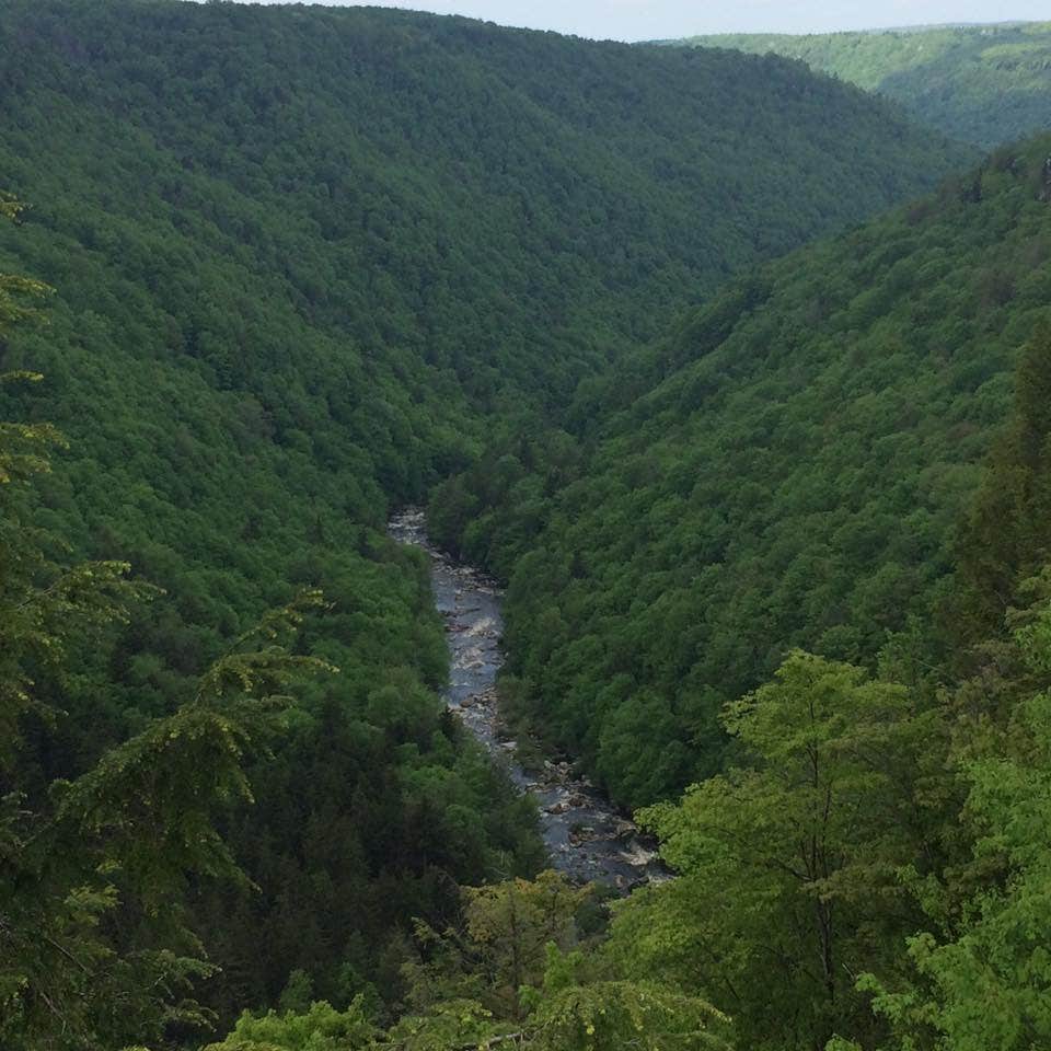 Camper-submitted photo at Blackwater Falls State Park Campground near Glady, WV