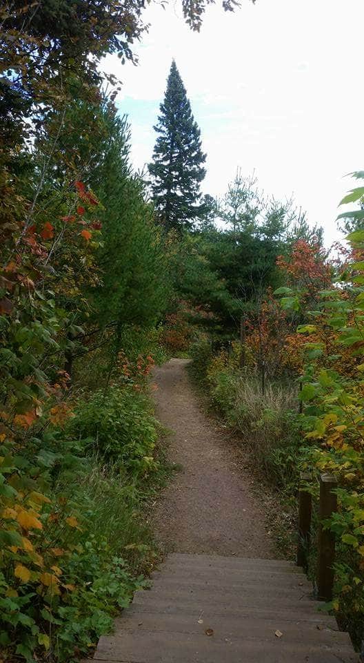 Camper submitted image from Gooseberry Falls State Park Campground - 5